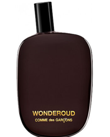 Wonderoud By Comme des Garcons for women and men