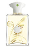 Bracken Man By Amouage